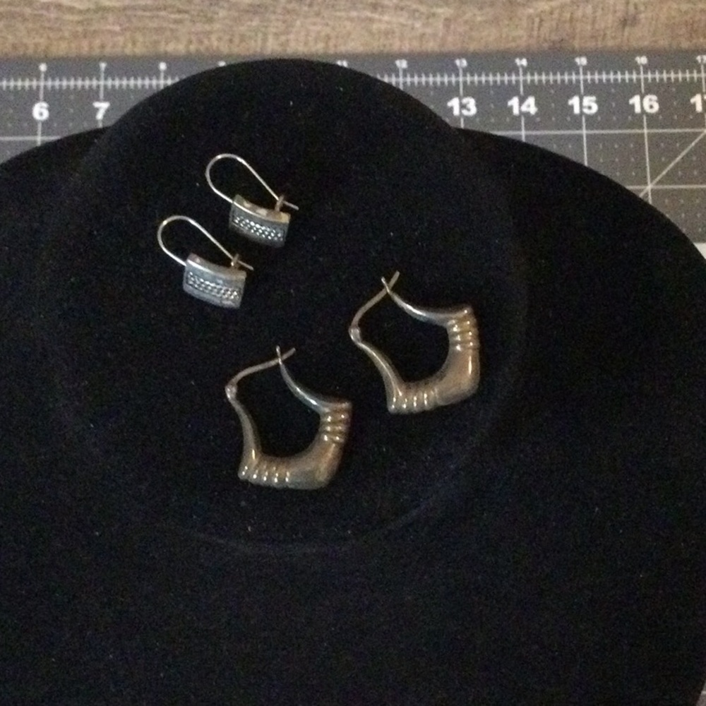 Elegant Silver Hoop Earrings